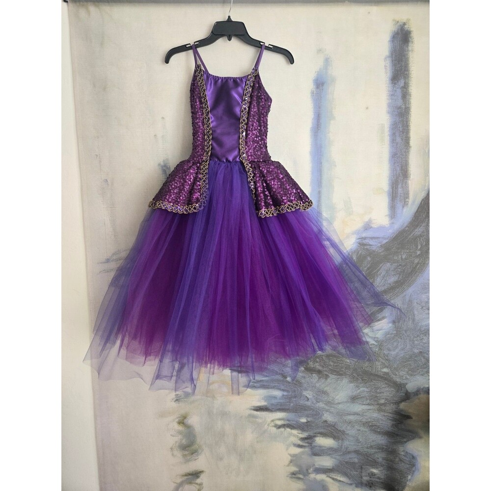 Wish Come True Purple Sequin Dance Costume Size SA (Small Adult)